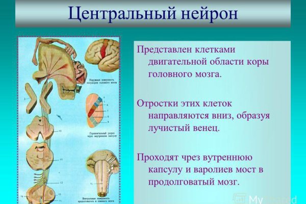 Кракен актуальное зеркало